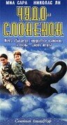 Чудо – слоненок (2001)