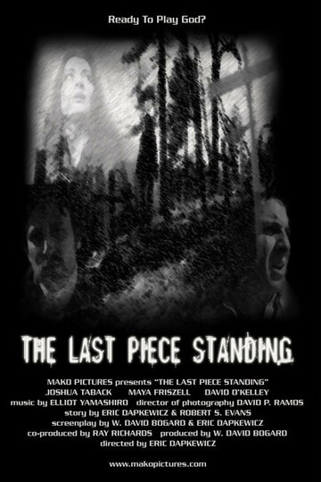 The Last Piece Standing (2005)